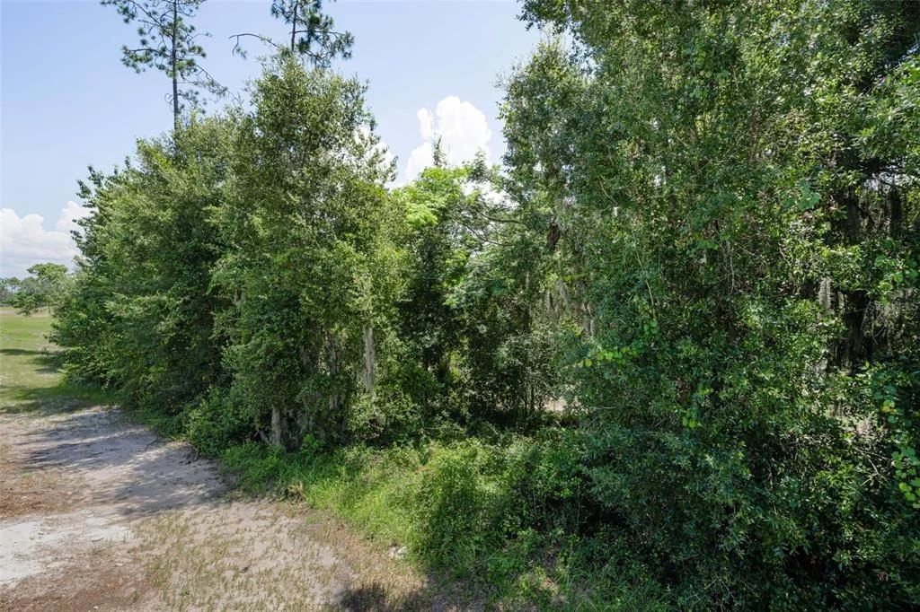 Photo of 6780 EMERALD SPRING LOOP