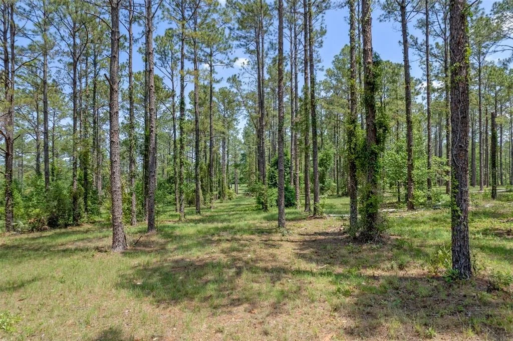 Photo of 35408 PINEGATE TRAIL