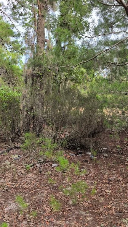 Photo of 102 B STREET