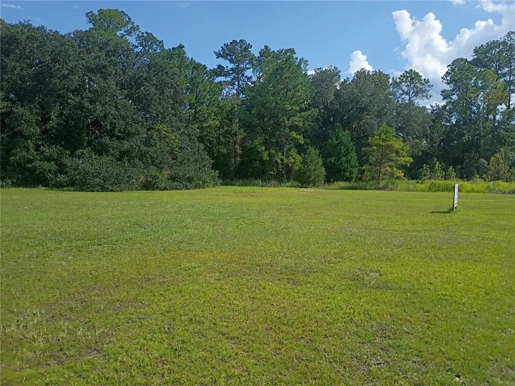 Photo of TBD NE US HIGHWAY 301