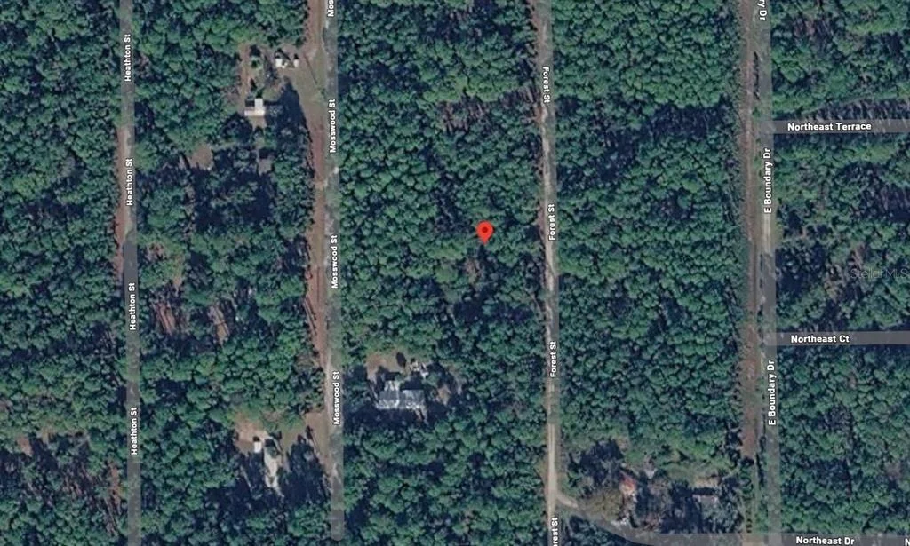 Photo of 143 FOREST STREET