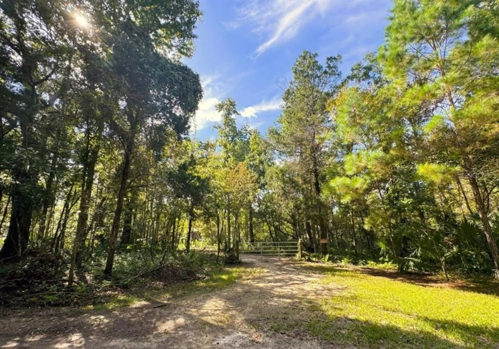 Photo of Track 79 CLAYTON ROAD