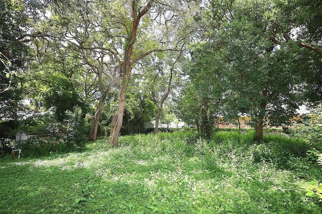 Photo of 339 COLOMBA ROAD