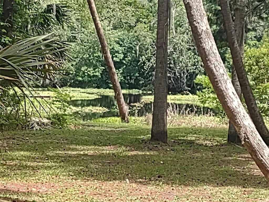 Photo of 24548 ALLIGATOR ROAD