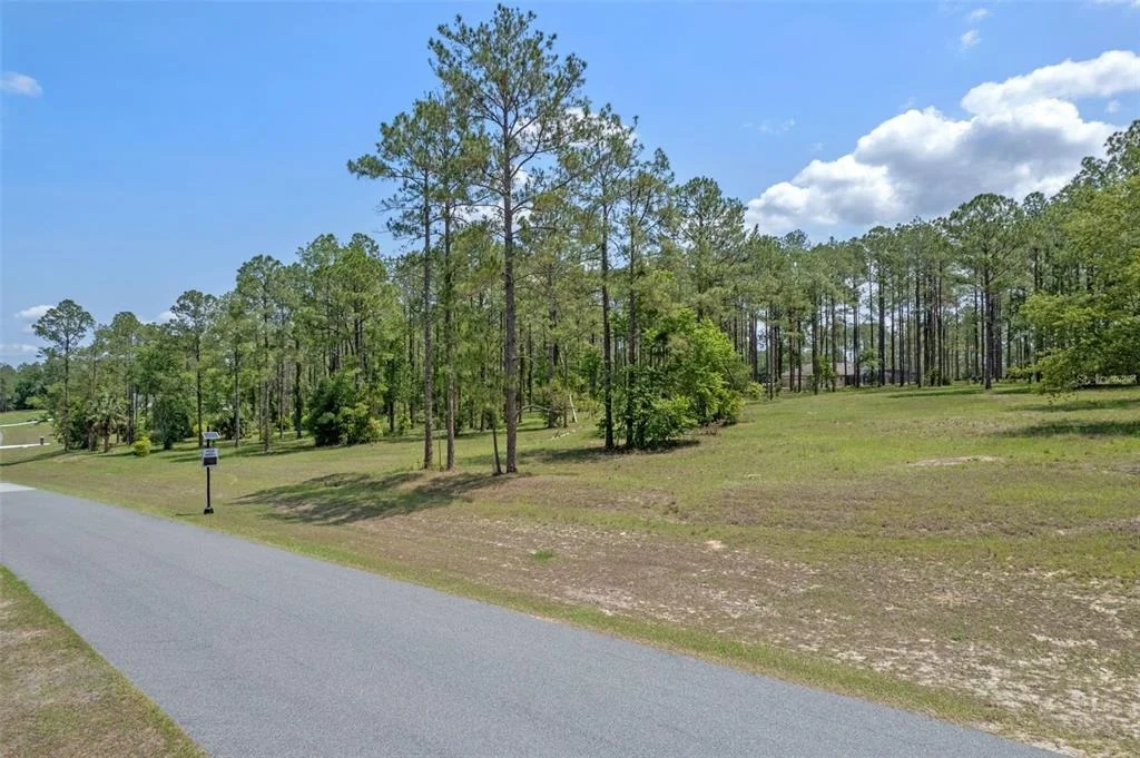 Photo of 35408 PINEGATE TRAIL