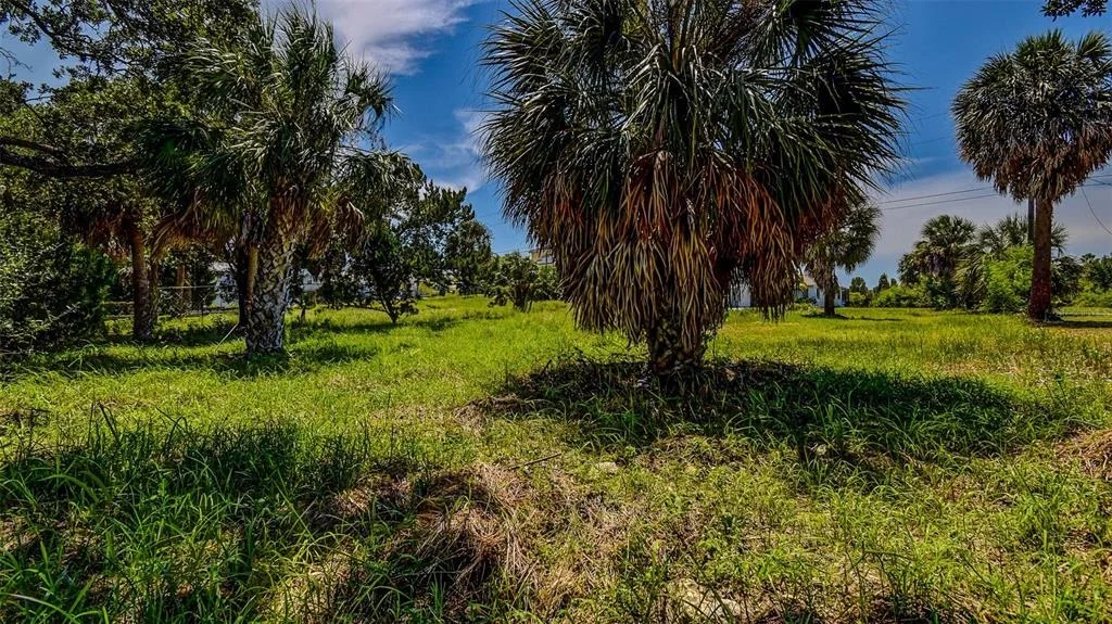 Photo of Unit LOT10 at 0 SEA GRAPE DRIVE