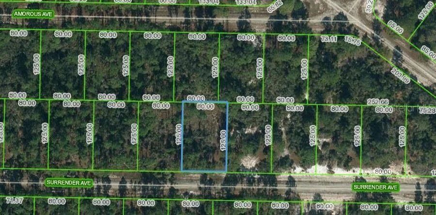 Photo of 420 SURRENDER AVENUE
