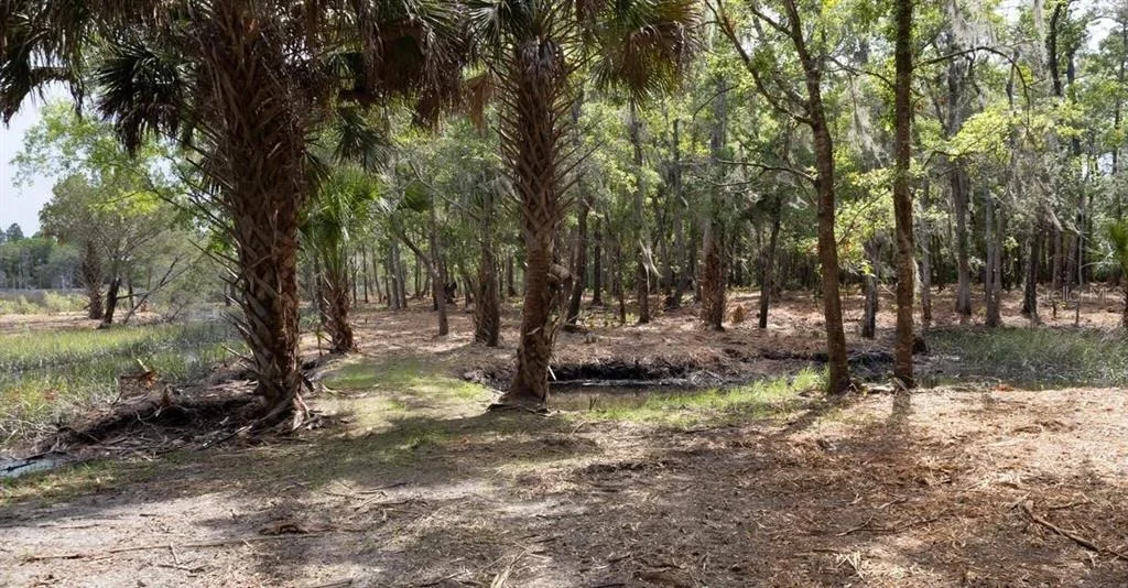 Photo of 7149 FITZPATRICK LANE