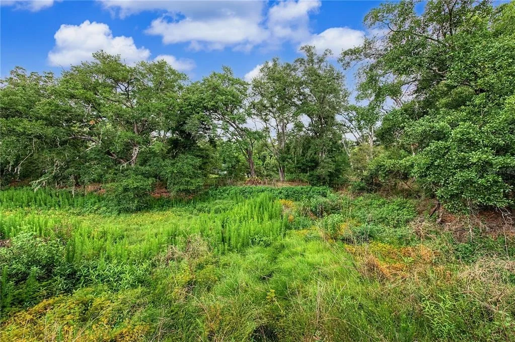 Photo of 2216 PINECREST DRIVE