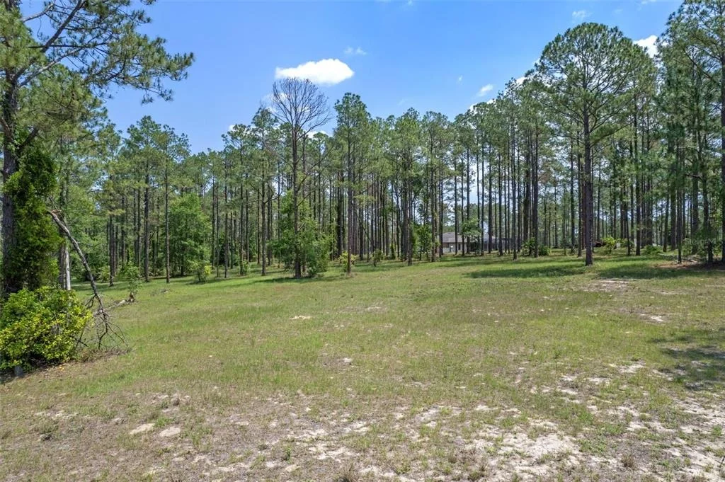 Photo of 35408 PINEGATE TRAIL