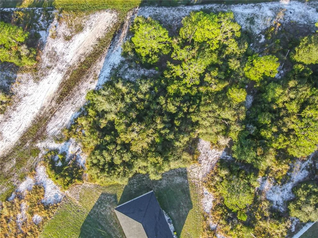 Photo of 1257 AMAZON LANE