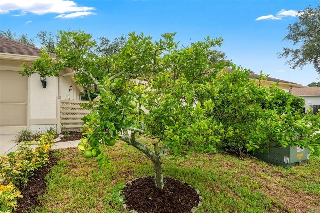 Photo of 7350 ROSEMONT LANE