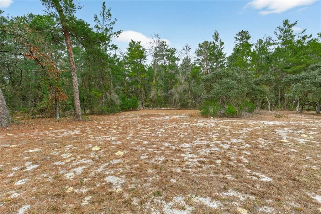 Photo of 117 STODDARD ROAD