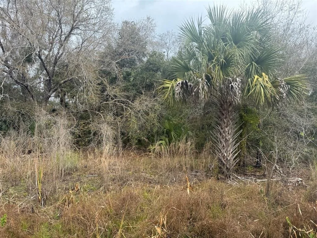 Photo of 17667 NW 254TH STREET