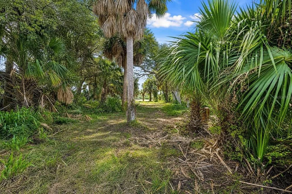 Photo of 3668 JOHN ANDERSON DRIVE