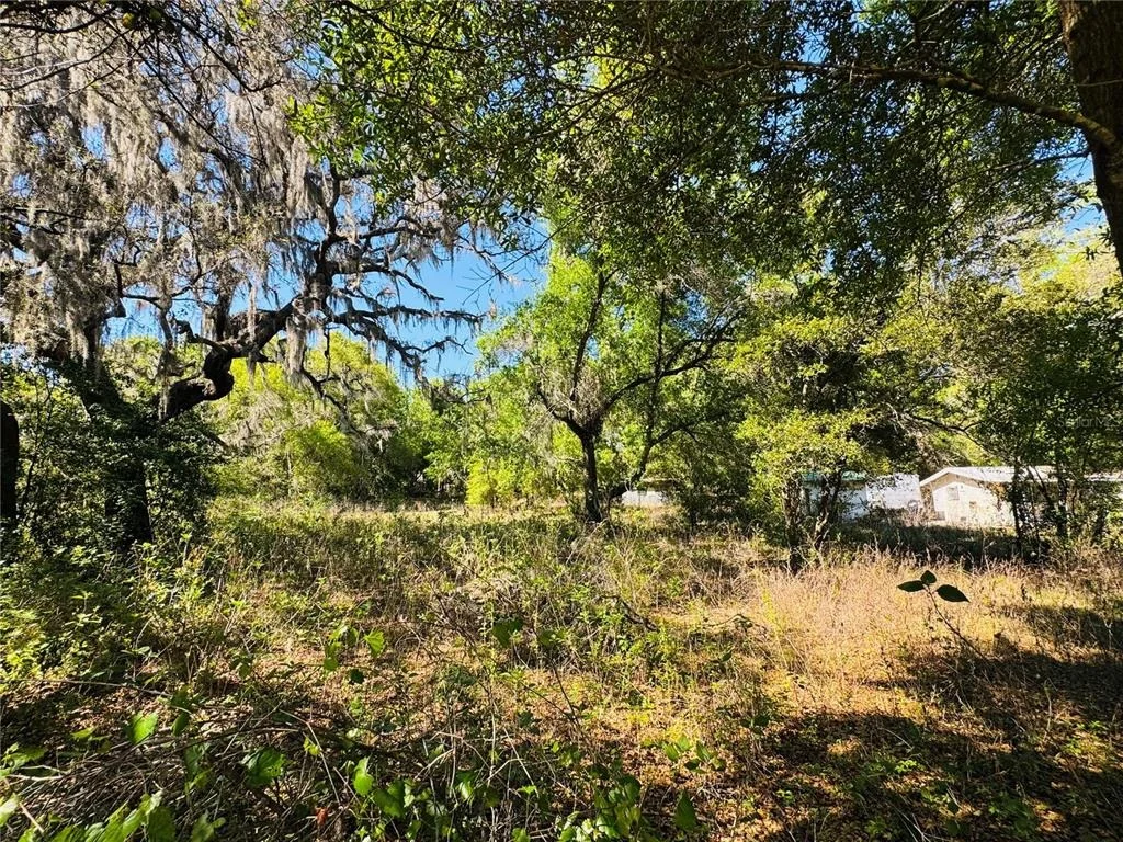 Photo of 11340 BESSIE DIX ROAD