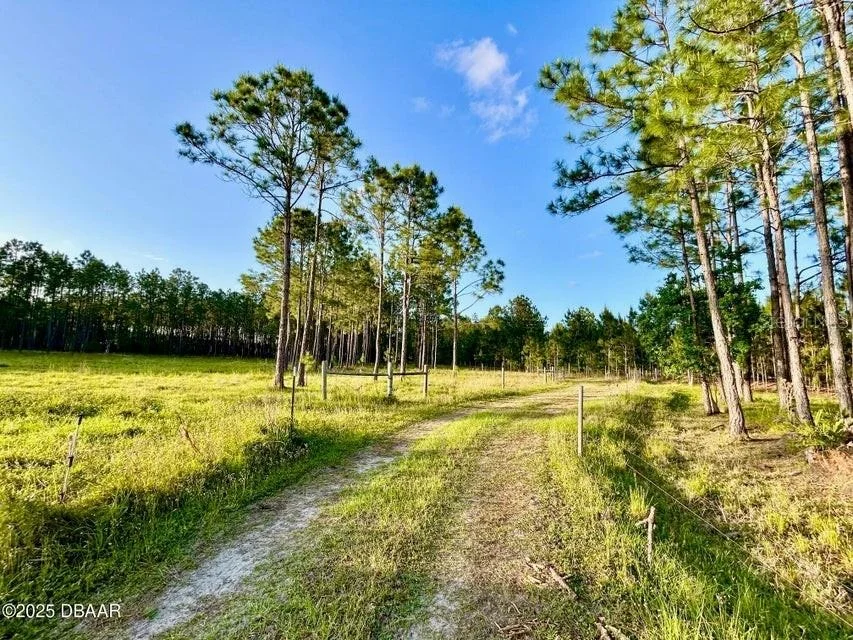 Photo of 201 WASICK LANE