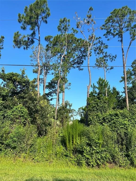 Photo of 4 RYBERRY DRIVE