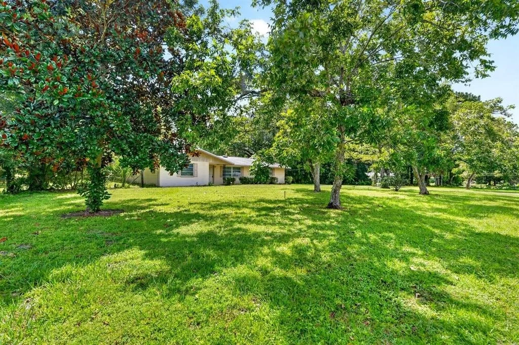Photo of 779 TIMOTHY STREET