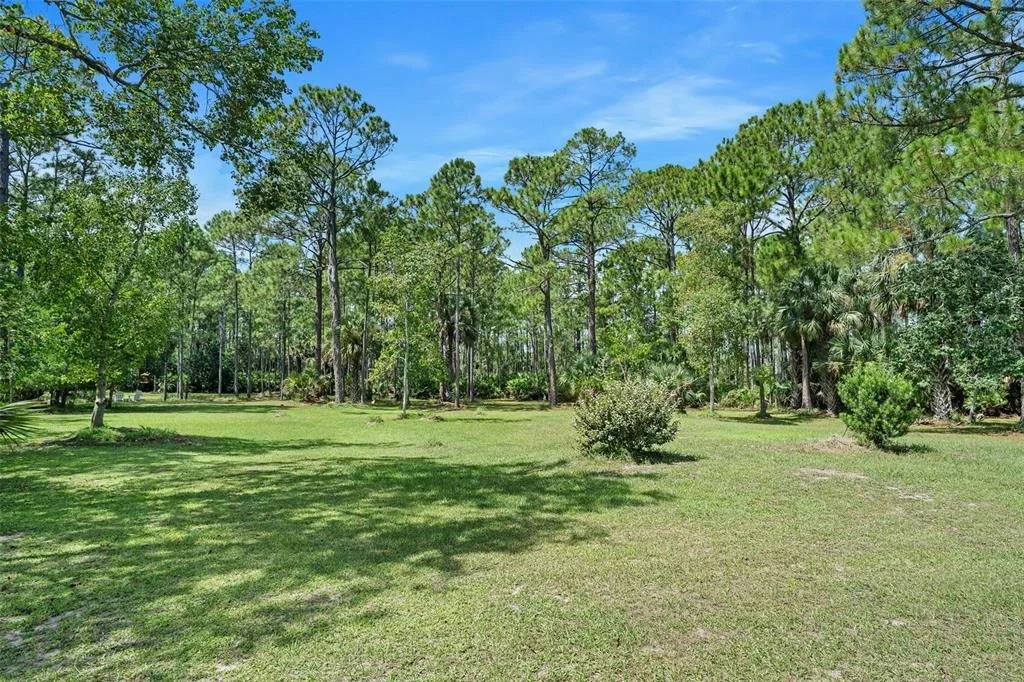 Photo of 45 WINCHESTER ROAD