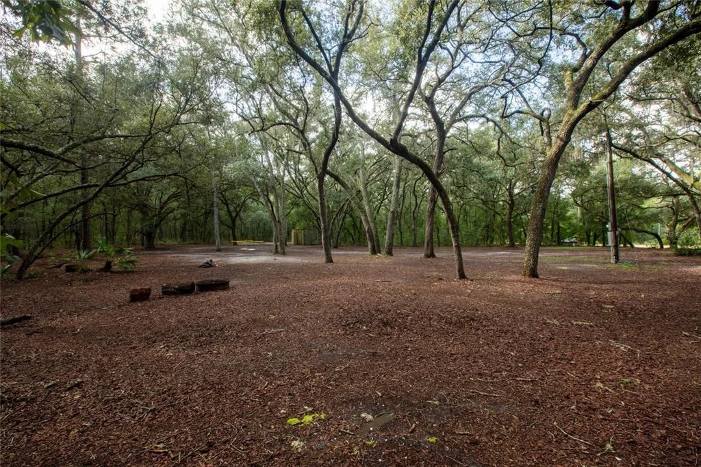 Photo of 5590 JENKINS LOOP DRIVE