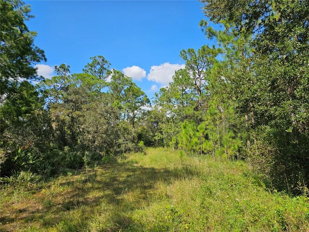 Photo of 7105 ORCHID PLACE