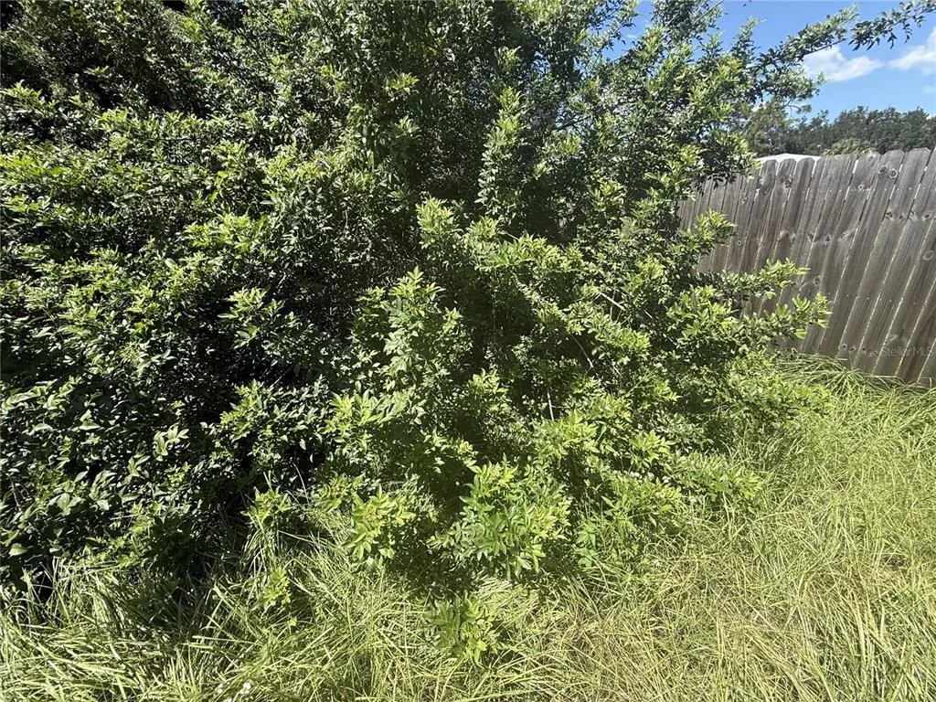 Photo of 3609 CASABA LOOP