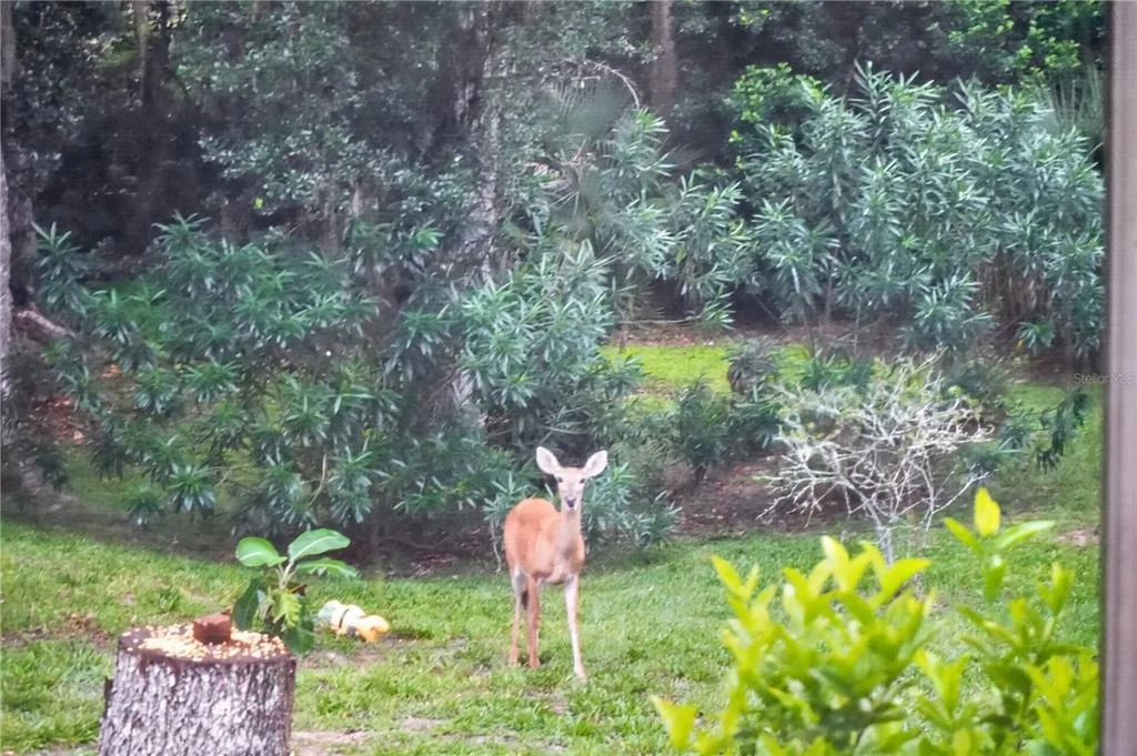 Photo of 1384 ALEUT LANE