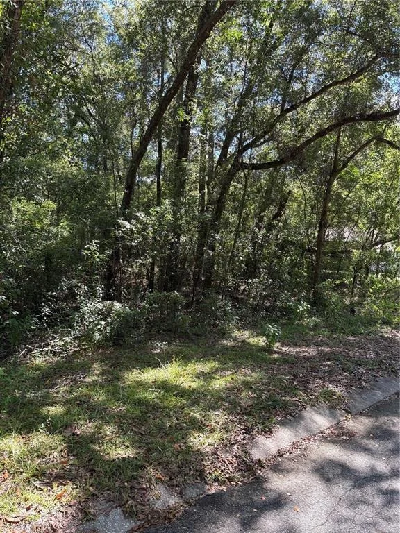 Photo of 1228 CLOVER TERRACE