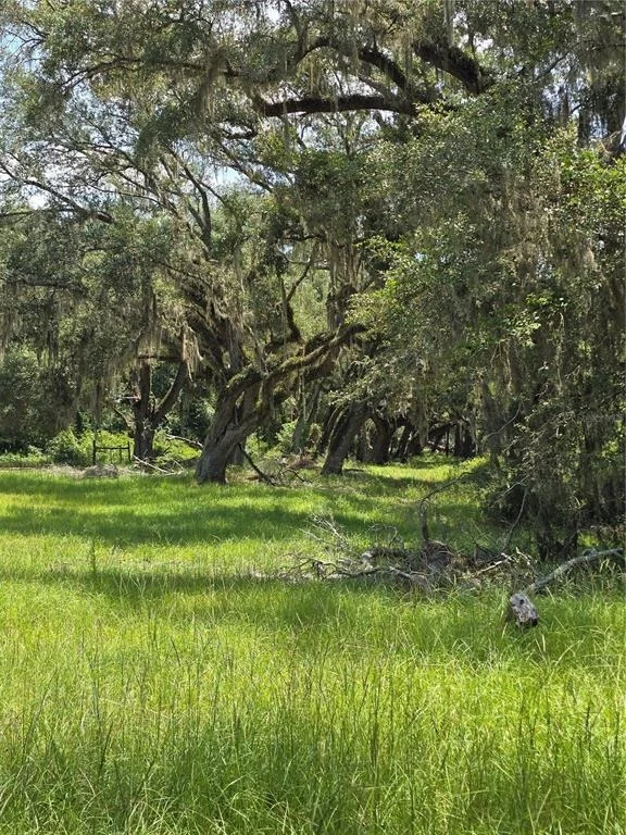 Photo of 7563 SE COUNTY ROAD 405
