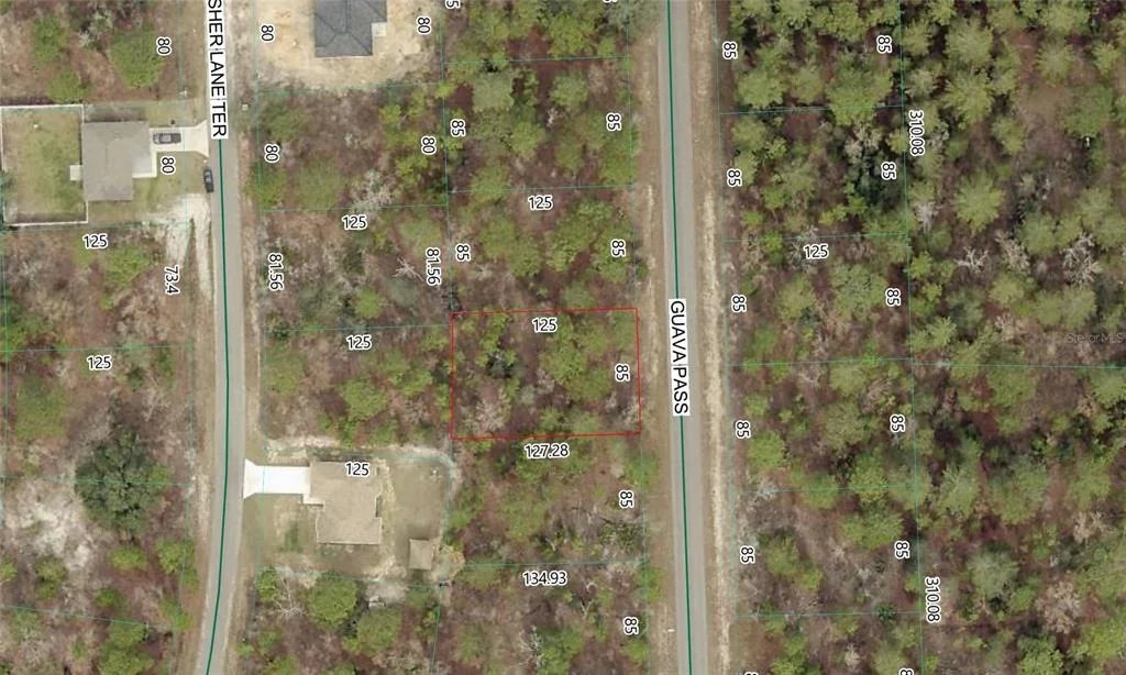Photo of GUAVA PASS LOT 10