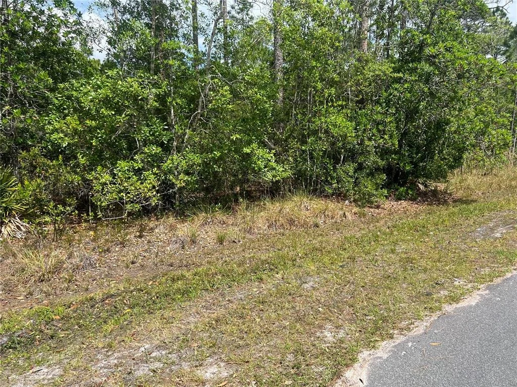 Photo of 1755 CASSIDY DRIVE