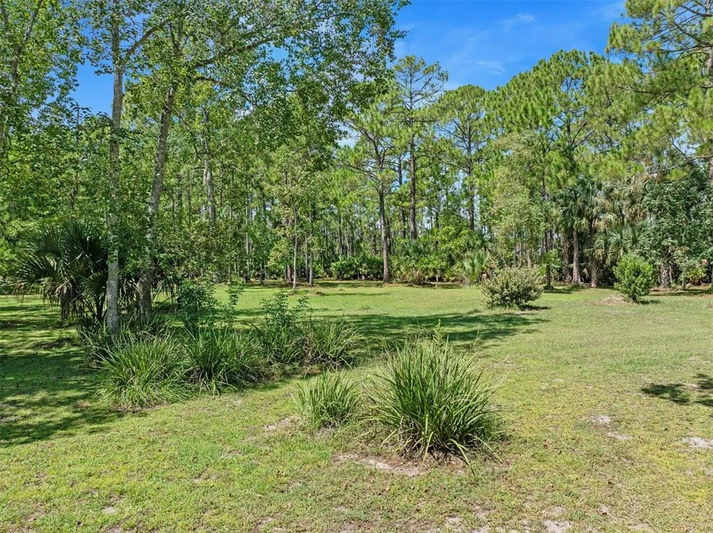 Photo of 45 WINCHESTER ROAD