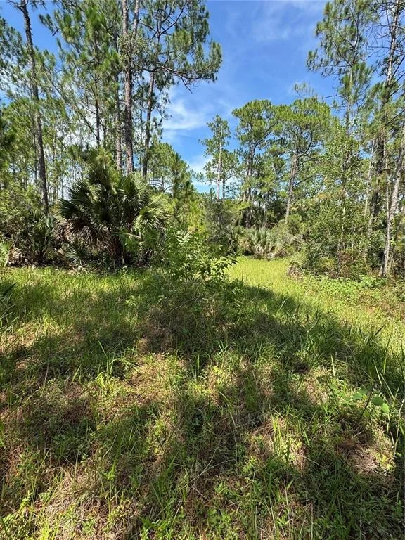 Photo of 4300 JUSTA ROAD
