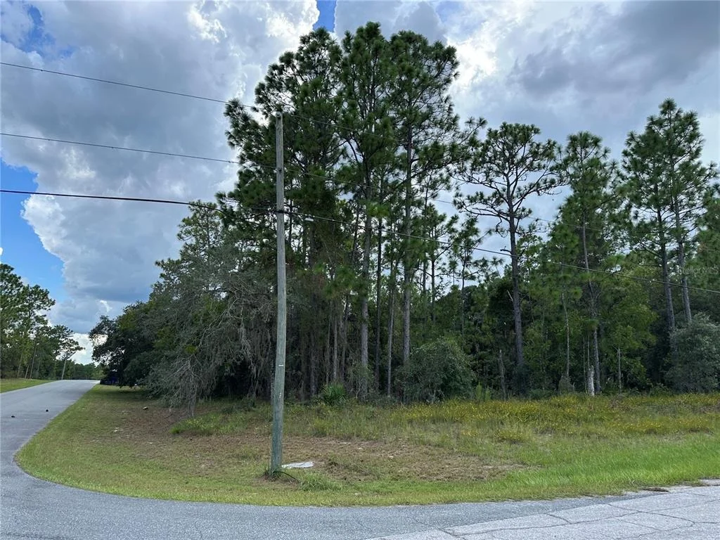 Photo of 5212 N PEPPERMINT DRIVE
