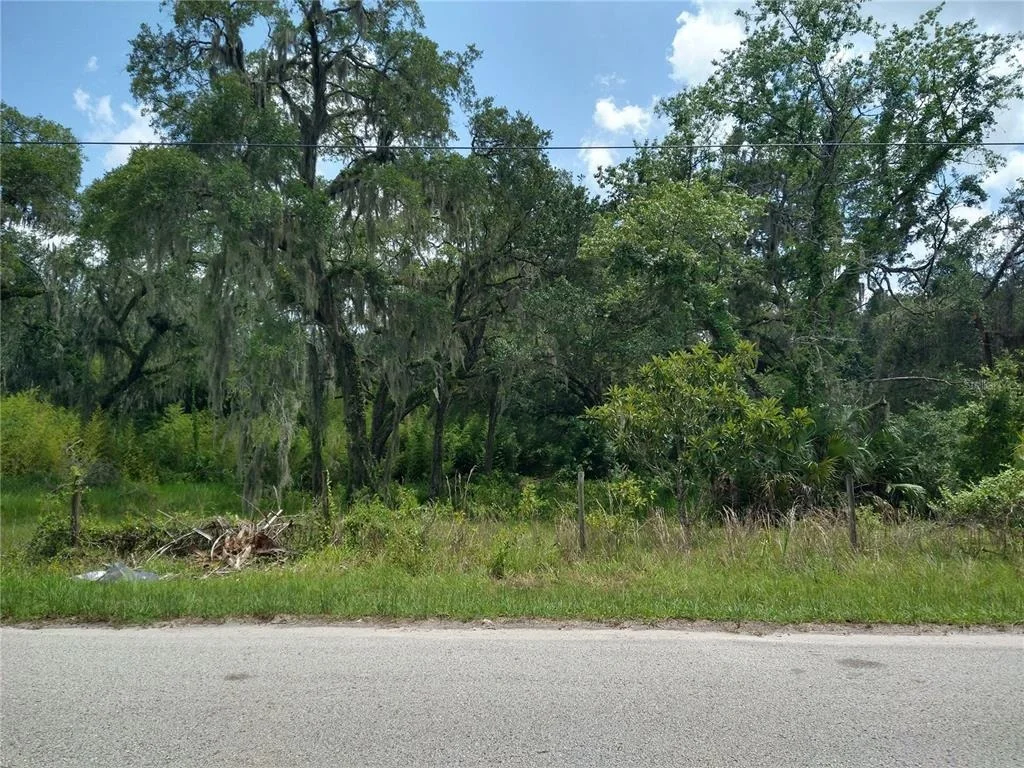 Photo of 10616 SHADY DRIVE