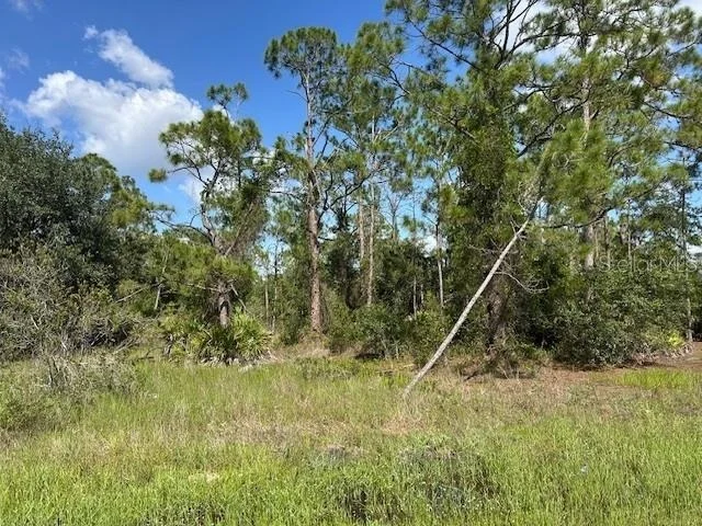 Photo of 13036 APACHE DRIVE
