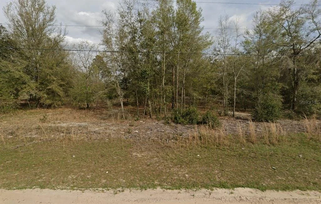 Photo of LOT 15 MARION AVENUE