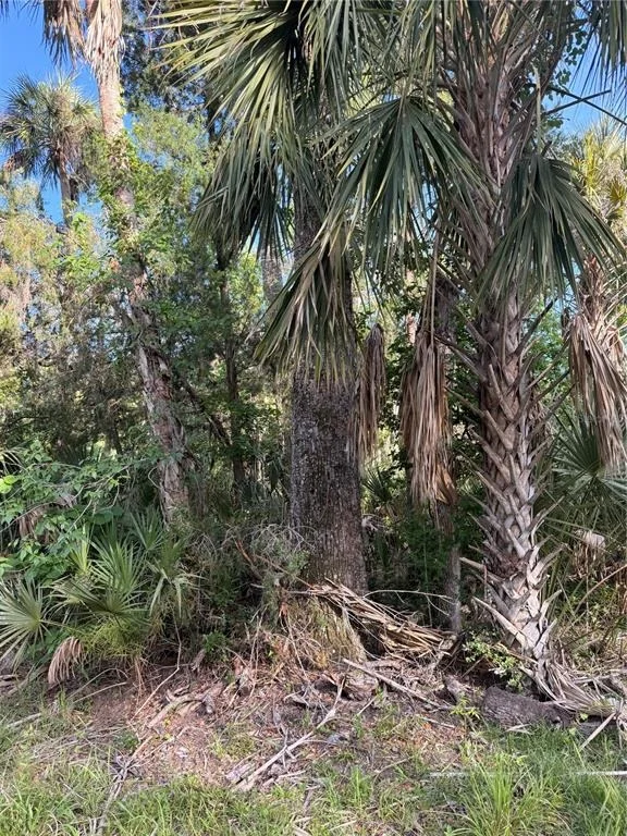 Photo of 10274 W OZELLO TRAIL