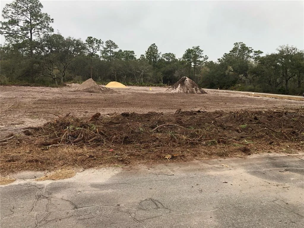 Photo of 000 FISHER LOOP