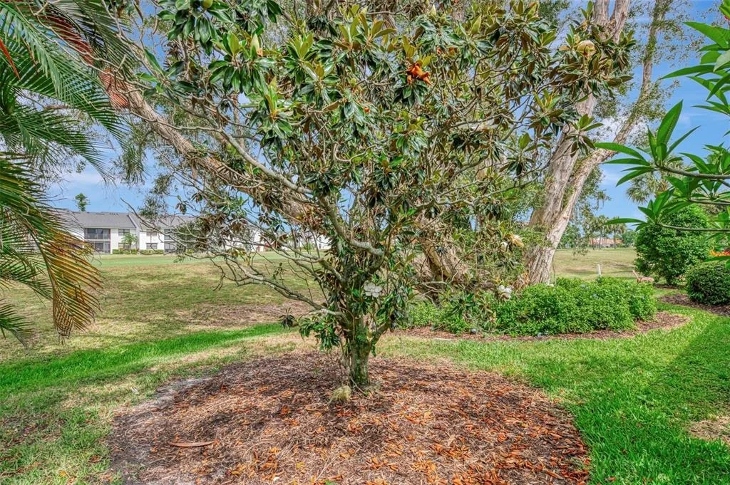 Photo of 625 MISTY PINE DRIVE