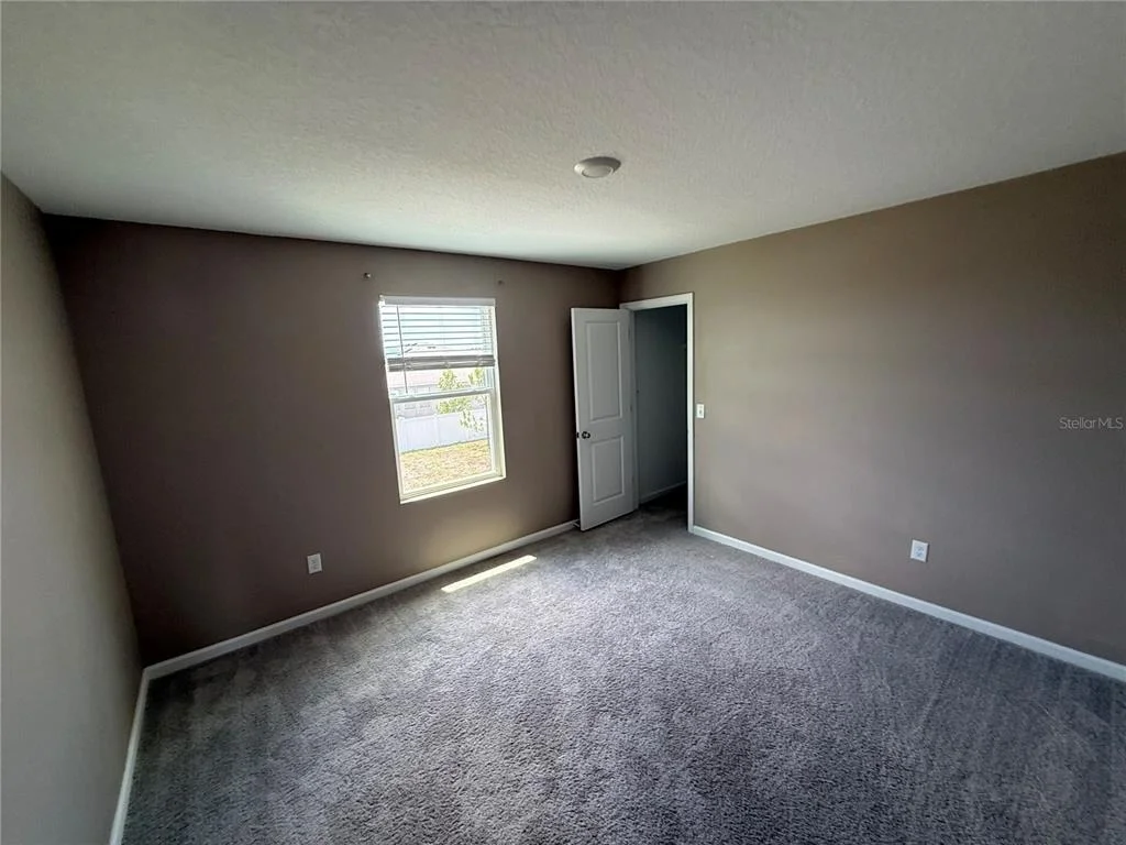 Photo of 462 SPOTTED SLIPPER PLACE