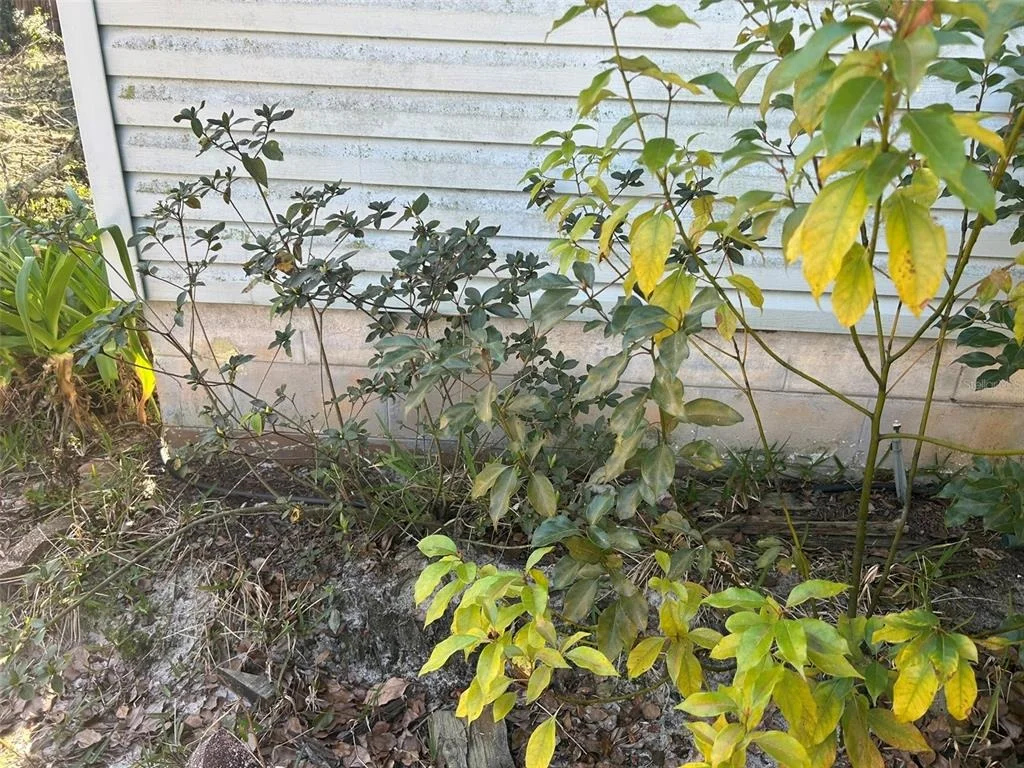 Photo of 20545 SE 155TH PLACE