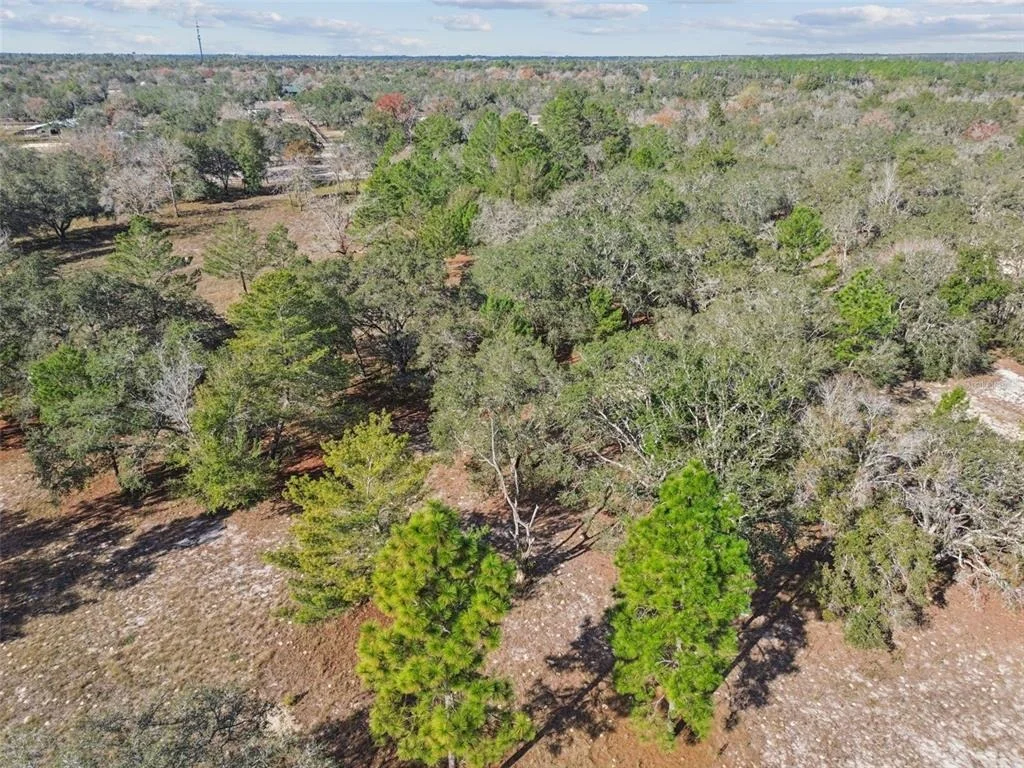 Photo of 14459 COYOTE ROAD