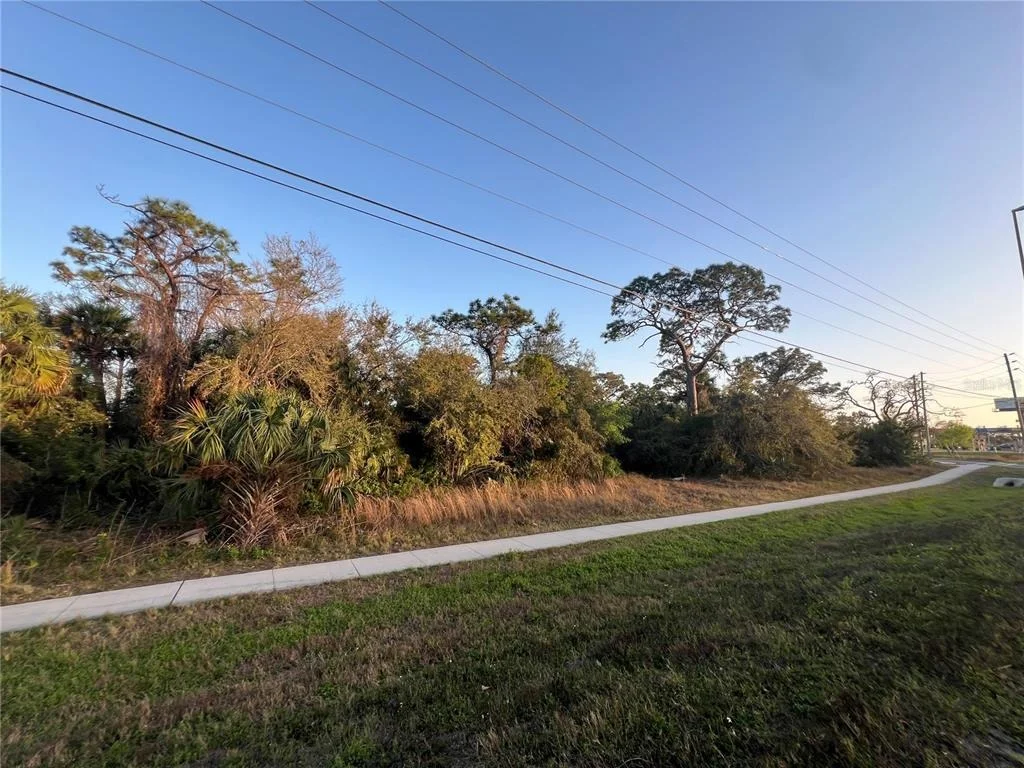 Photo of 0 US 19 HIGHWAY