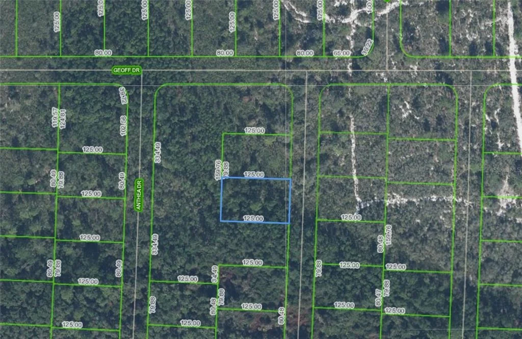 Photo of 6316 ALICIA DRIVE