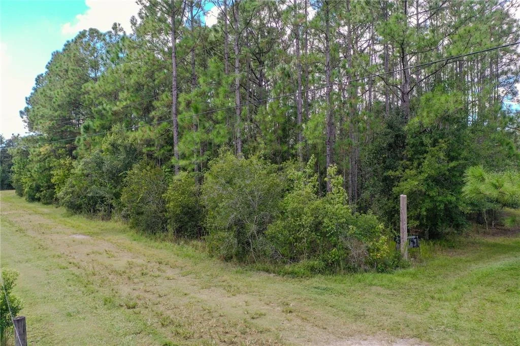 Photo of 747 MIRANDA TRAIL