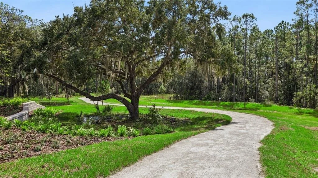 Photo of 2825 ELIO HAMMOCK DRIVE