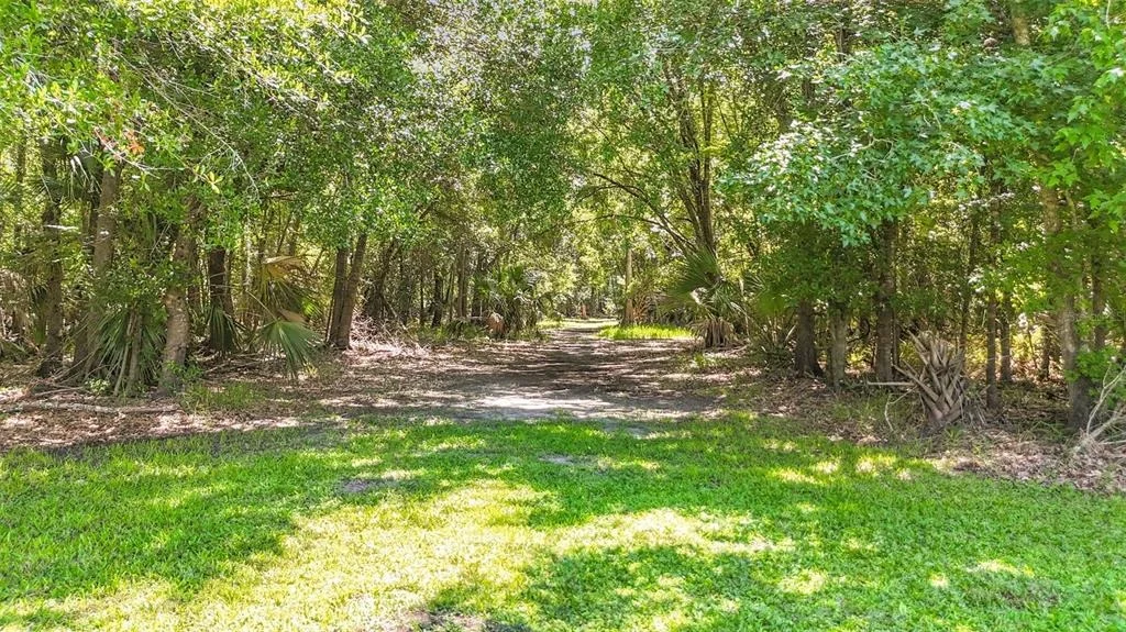Photo of 273 GRIFFIN ROAD