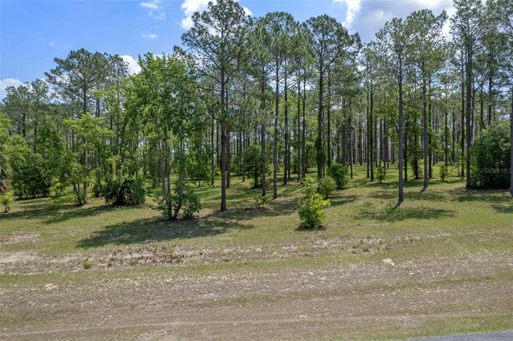 Photo of 35408 PINEGATE TRAIL